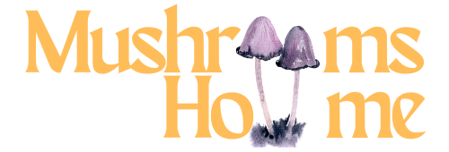 Zauberpilze Deutschland